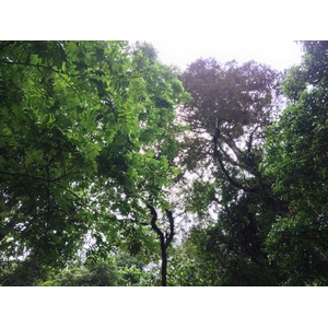 Picture Costa Rica Pacuare River 2015-03 62 - Discover Pacuare River