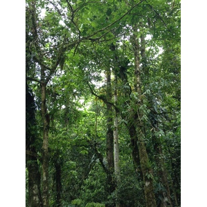 Picture Costa Rica Pacuare River 2015-03 48 - Road Map Pacuare River