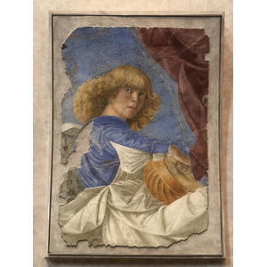 Picture Italy Rome Vatican Museum 2024-09 294 - Picture Vatican Museum