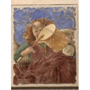 Picture Italy Rome Vatican Museum 2024-09 250 - Photos Vatican Museum