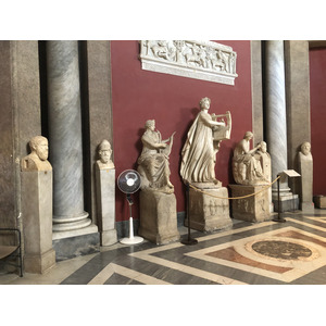 Picture Italy Rome Vatican Museum 2024-09 56 - Picture Vatican Museum