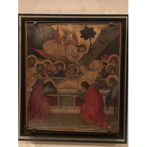 Picture Italy Rome Vatican Museum 2024-09 321 - Photos Vatican Museum