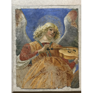 Picture Italy Rome Vatican Museum 2024-09 340 - Views Vatican Museum