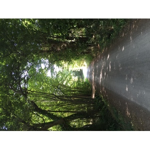 Picture France Belle-Ile 2016-08 148 - Road Belle-Ile