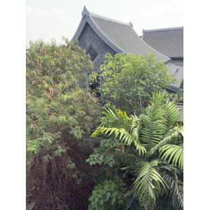 Picture Thailand Chiang Mai Kalm 2024-12 12 - Travel Kalm