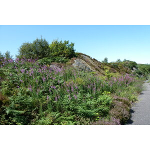 Picture United Kingdom Scotland Arisaig coast 2011-07 87 - Pictures Arisaig coast