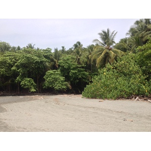 Picture Costa Rica Montezuma 2015-03 154 - Sight Montezuma