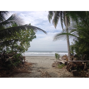 Picture Costa Rica Montezuma 2015-03 284 - Pictures Montezuma
