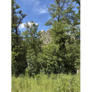 Picture France Corsica Corte 2025-06 16 - Discover Corte