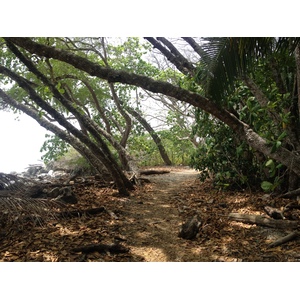 Picture Costa Rica Montezuma 2015-03 451 - Sight Montezuma