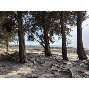 Picture France La Trinité sur Mer 2026-04 19 - Photos La Trinité sur Mer