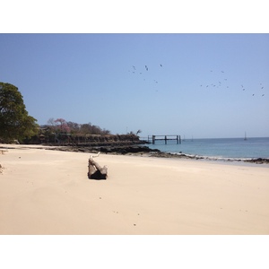 Picture Panama Contadora Island 2015-03 59 - Visit Contadora Island