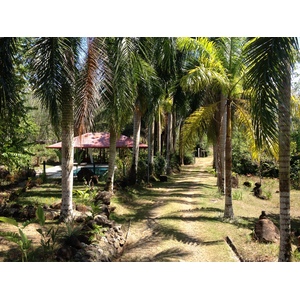 Picture Costa Rica Uvita 2015-03 80 - Road Map Uvita