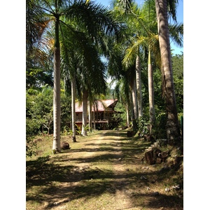 Picture Costa Rica Uvita 2015-03 77 - Pictures Uvita