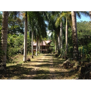 Picture Costa Rica Uvita 2015-03 31 - Tourist Attraction Uvita