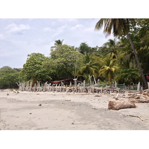Picture Costa Rica Montezuma 2015-03 531 - Travel Montezuma