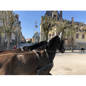 Picture France Fontainebleau 2019-04 249 - Trail Fontainebleau