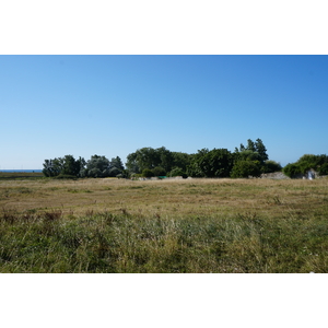 Picture France Hoedic 2016-08 42 - Pictures Hoedic