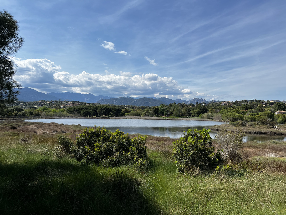 Picture France Corsica Pinarellu Beach 2024-05 34 - Rentals Pinarellu Beach