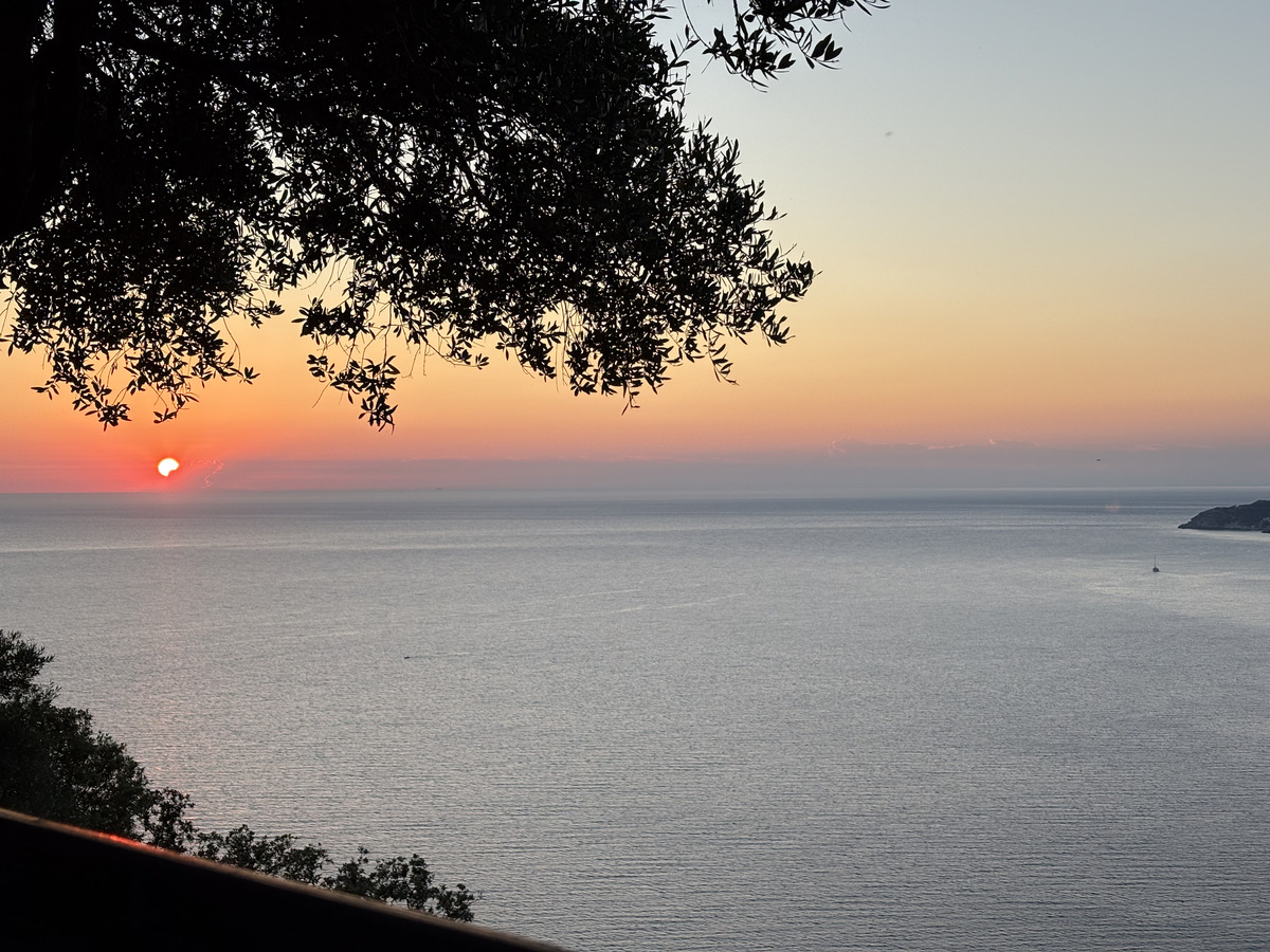 Picture France Corsica Nonza 2025-06 1 - Summer Nonza