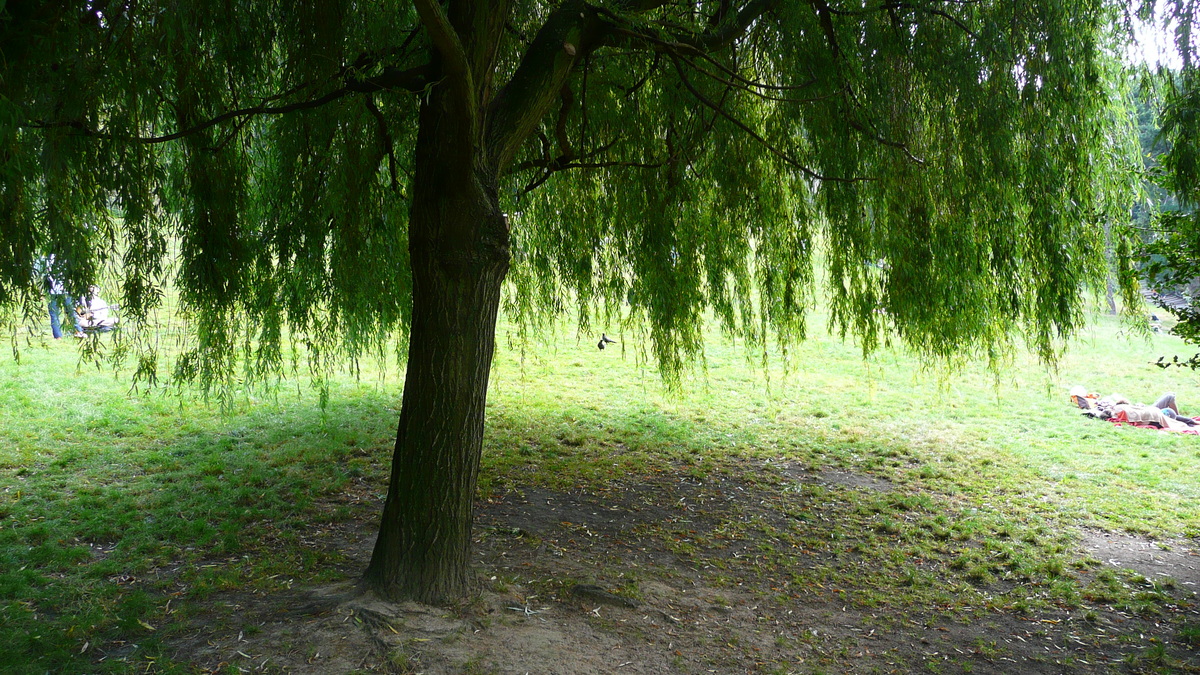 Picture France Paris Parc des Butes Chaumont 2007-08 25 - Lakes Parc des Butes Chaumont