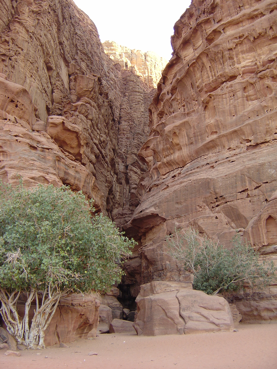 Picture Jordan Wadi Rum Desert 2004-10 7 - Hotel Wadi Rum Desert