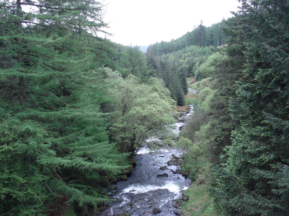 Picture United Kingdom Brecon Beacons National Parc 2006-05 73 - Lake Brecon Beacons National Parc