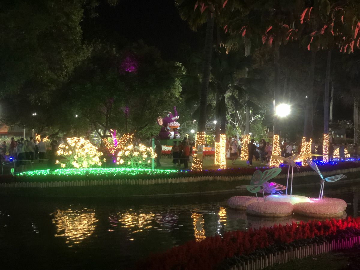 Picture Thailand Chiang Mai Nong Buak Haad Public Park 2024-01 49 - Rooms Nong Buak Haad Public Park