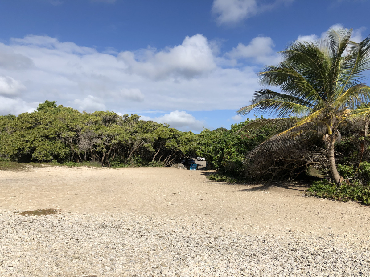 Picture Guadeloupe Sainte Anne 2021-02 113 - Sauna Sainte Anne