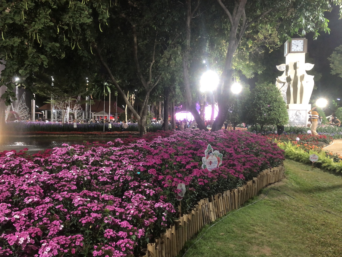 Picture Thailand Chiang Mai Nong Buak Haad Public Park 2024-01 45 - Walking Street Nong Buak Haad Public Park
