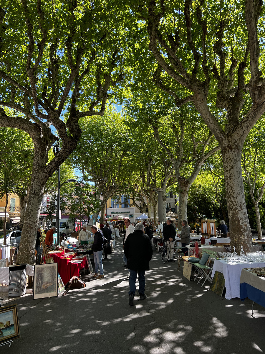 Picture France Vence 2024-04 44 - Lands Vence