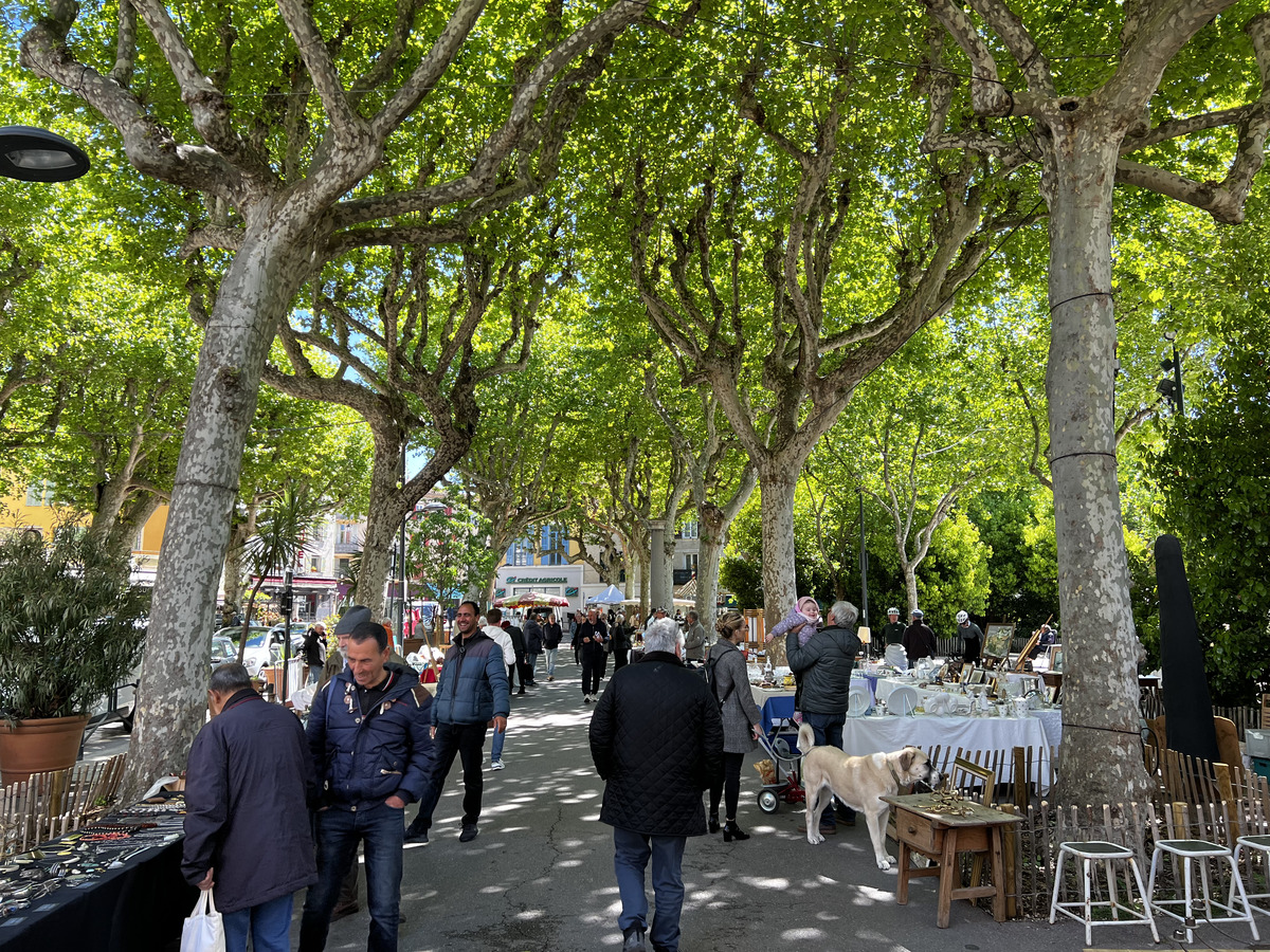 Picture France Vence 2024-04 53 - Walking Street Vence