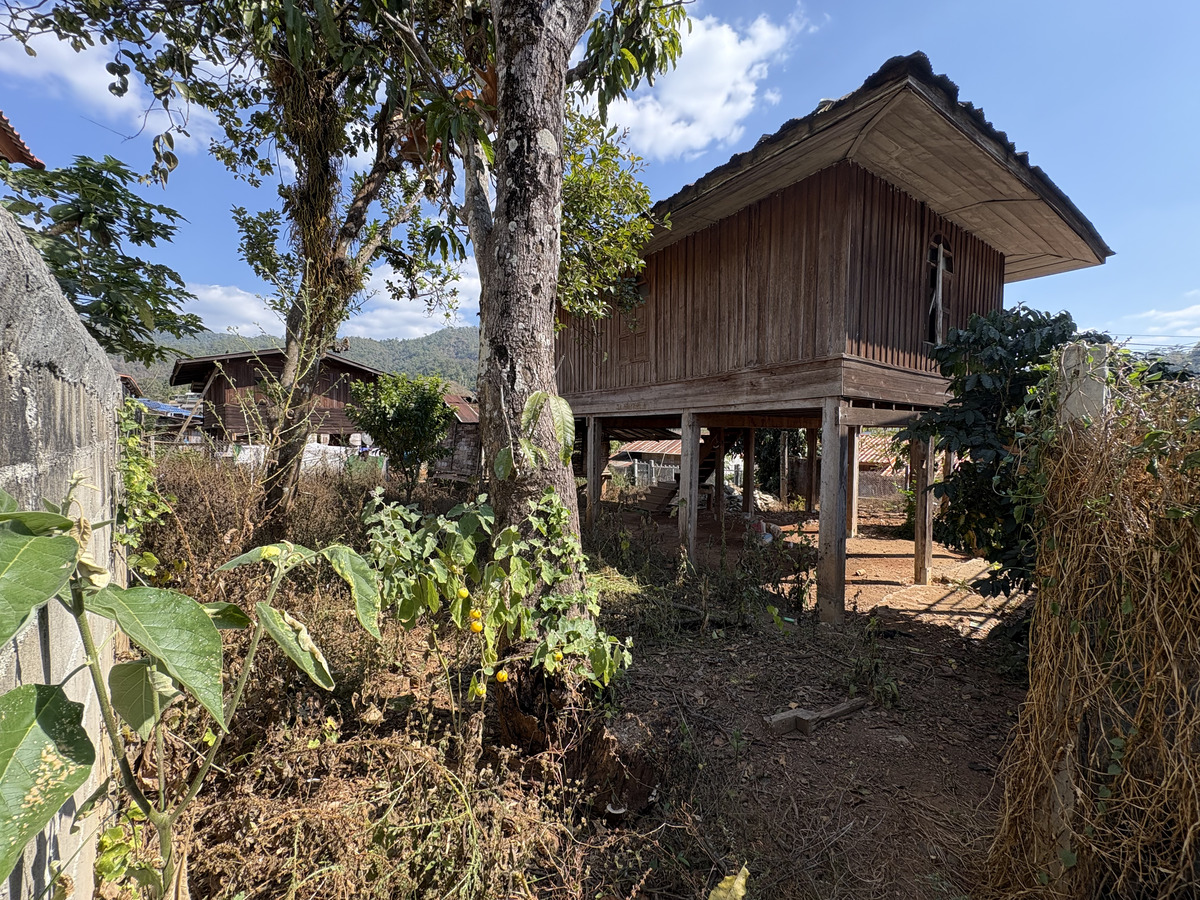 Picture Thailand Pang Mapha Perso 2026-01 13 - Sauna Pang Mapha Perso