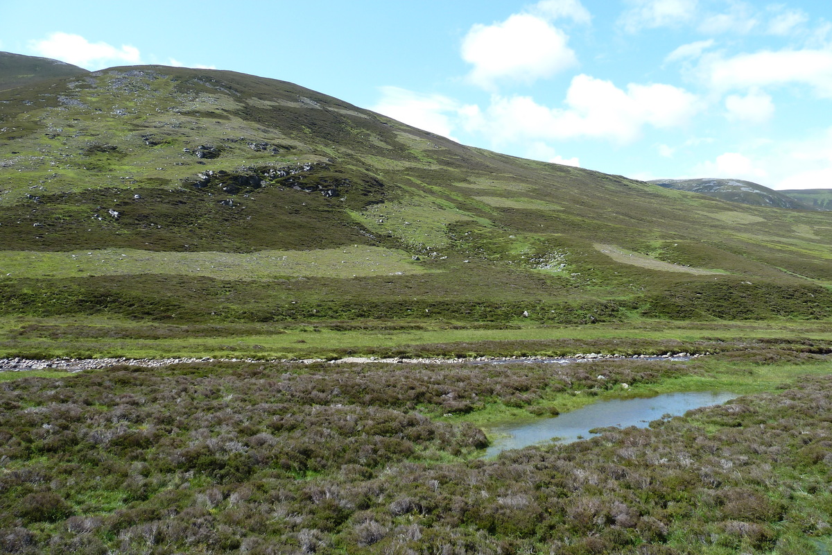 Picture United Kingdom Cairngorms National Park 2011-07 74 - Cost Cairngorms National Park