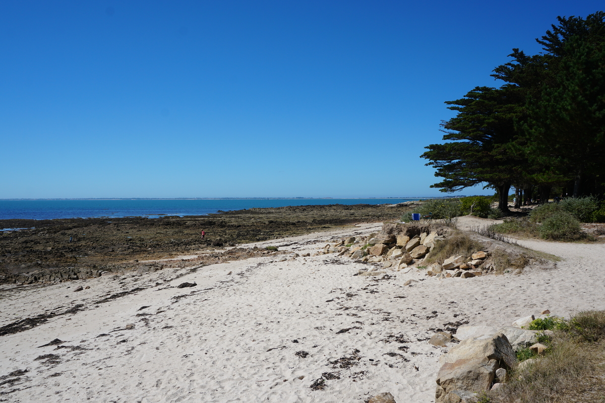 Picture France La Trinite-sur-Mer 2016-08 24 - Cost La Trinite-sur-Mer