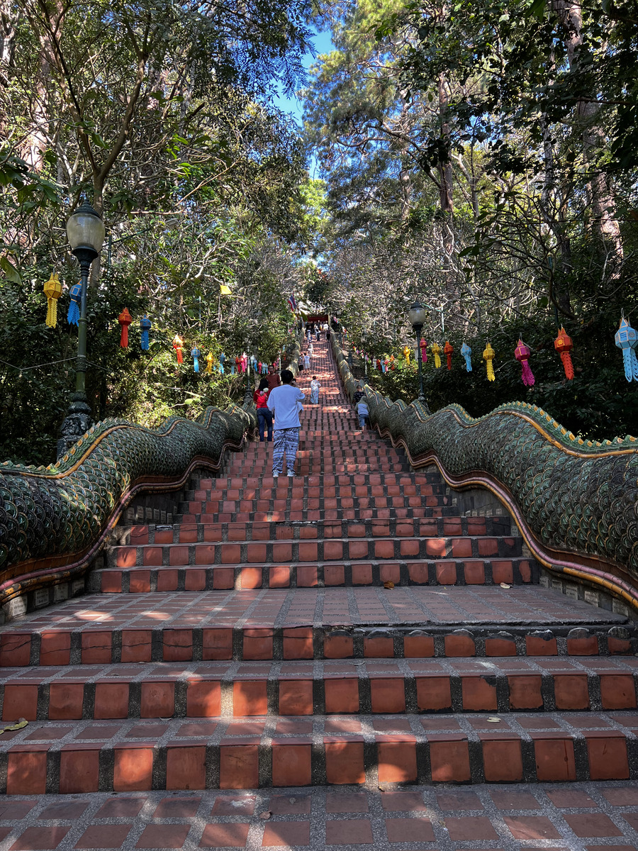 Picture Thailand Chiang Mai Doi Suthep 2024-01 25 - Spring Doi Suthep