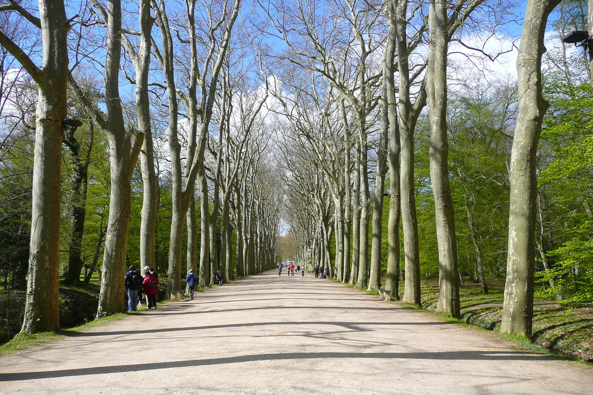 Picture France Chenonceau Castle Gardens of Chenonceau 2008-04 70 - Winter Gardens of Chenonceau