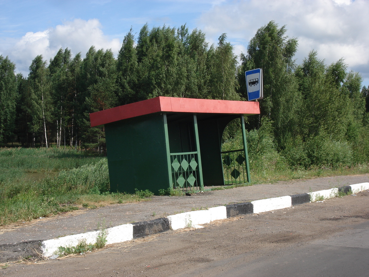 Picture Russia From Yaroslav to St Petersburg 2006-07 86 - Cheap Room From Yaroslav to St Petersburg
