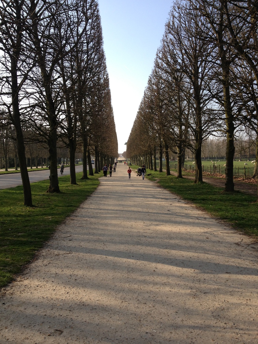 Picture France Versailles Versailles Palace 2014-03 2 - Sunrise Versailles Palace