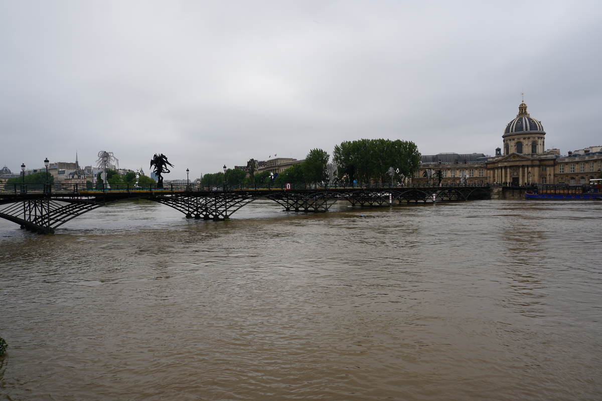 Picture France Paris Seine river 2016-06 39 - Cost Seine river