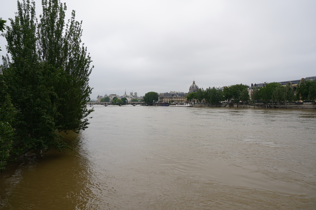 Picture France Paris Seine river 2016-06 13 - Resort Seine river