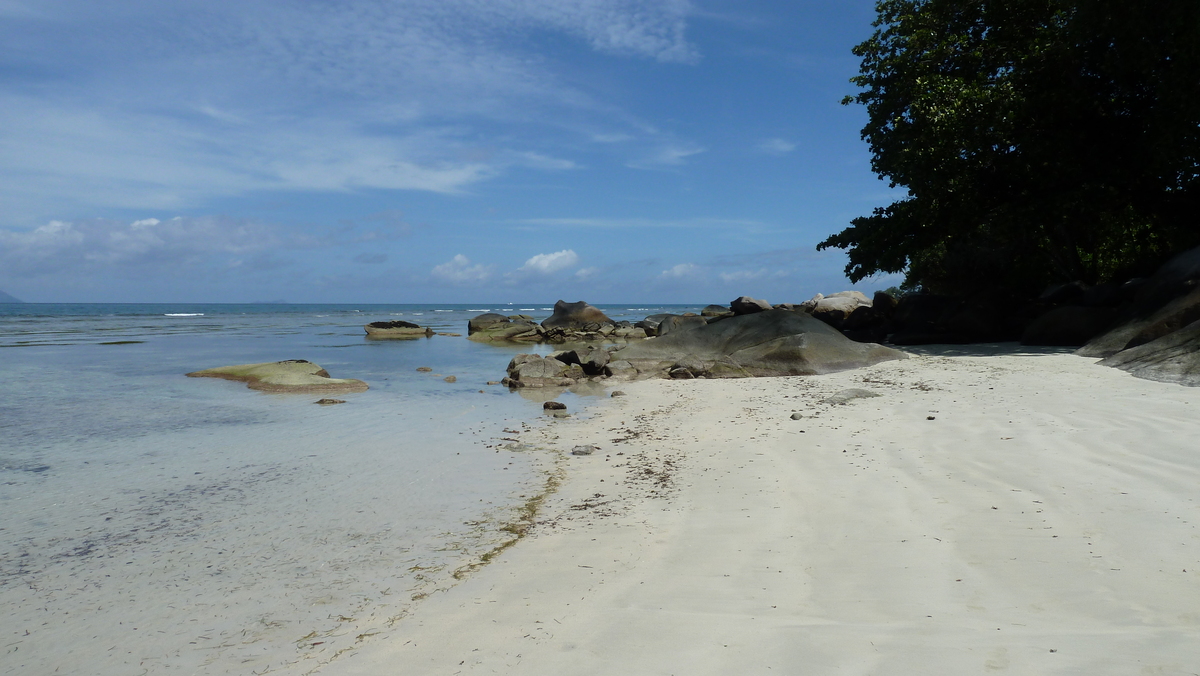 Picture Seychelles Mahe 2011-10 119 - Hot Season Mahe