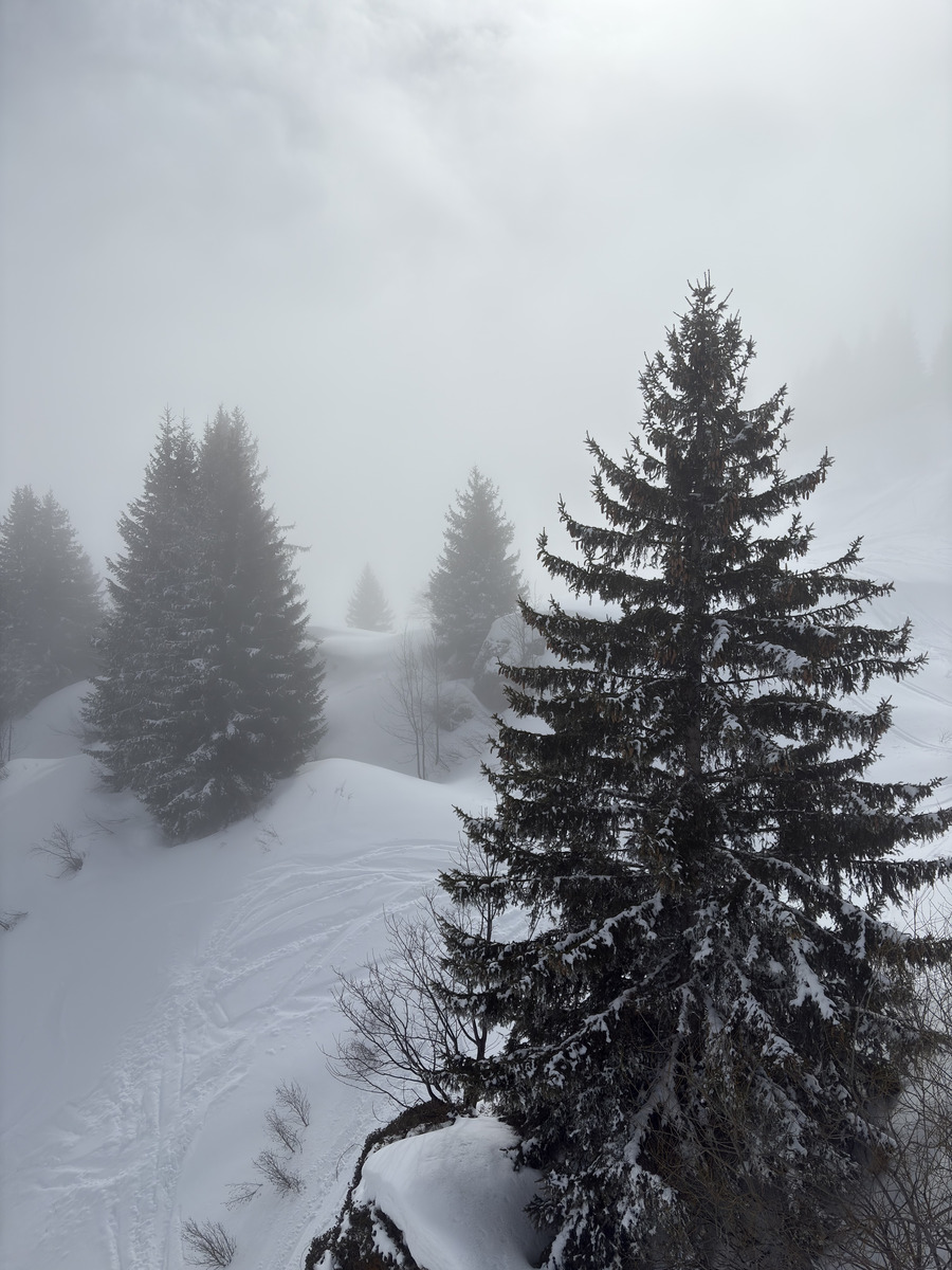 Picture France Praz sur Arly 2025-02 22 - Savings Praz sur Arly