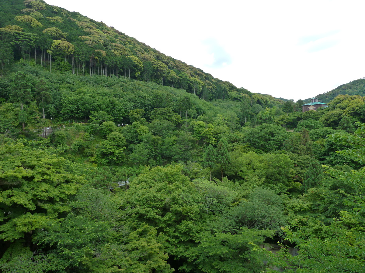 Picture Japan Kyoto Kiyomizu Dera Temple 2010-06 13 - Spring Kiyomizu Dera Temple