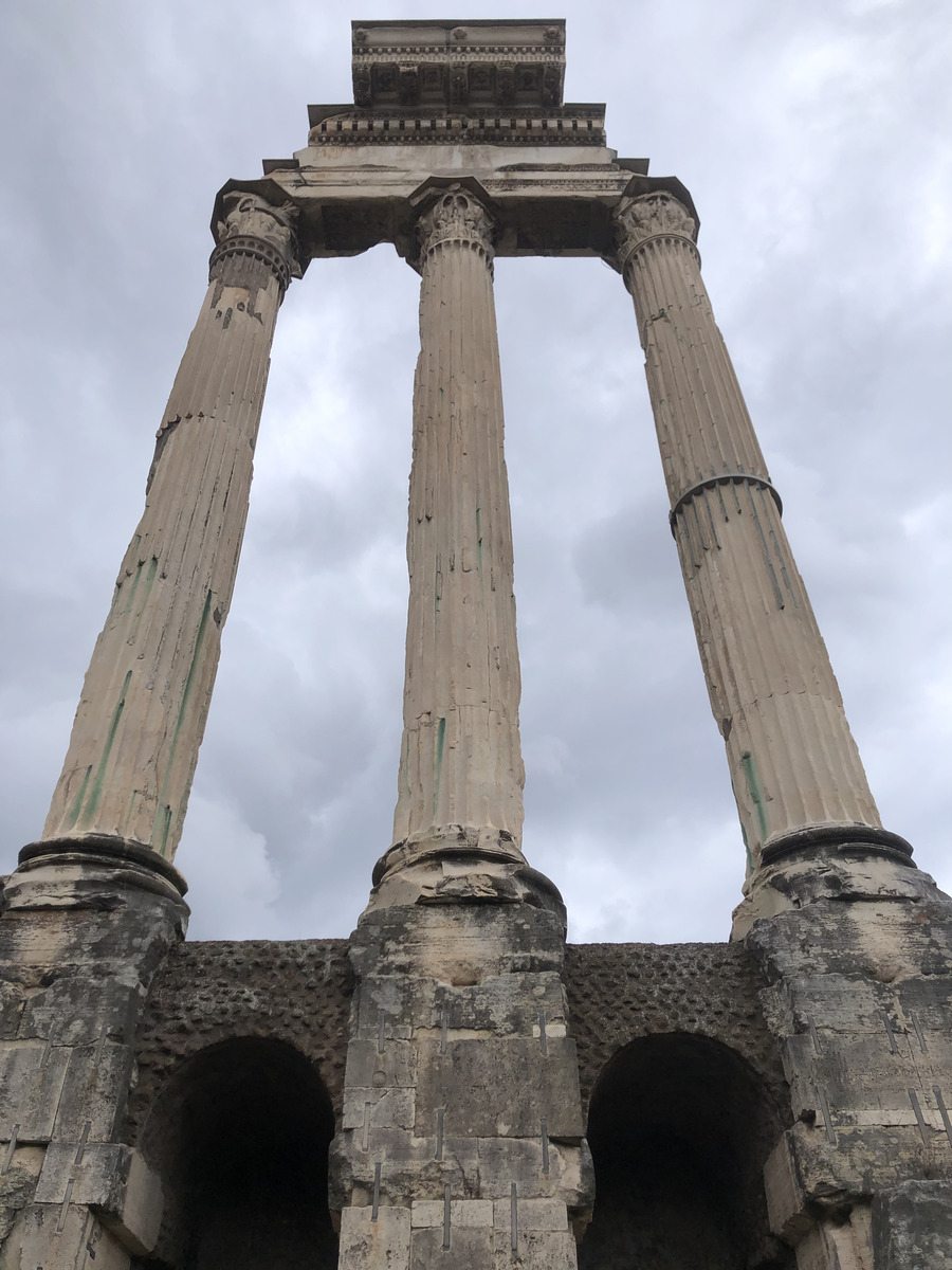 Picture Italy Rome Roman Forum 2024-09 134 - To see Roman Forum