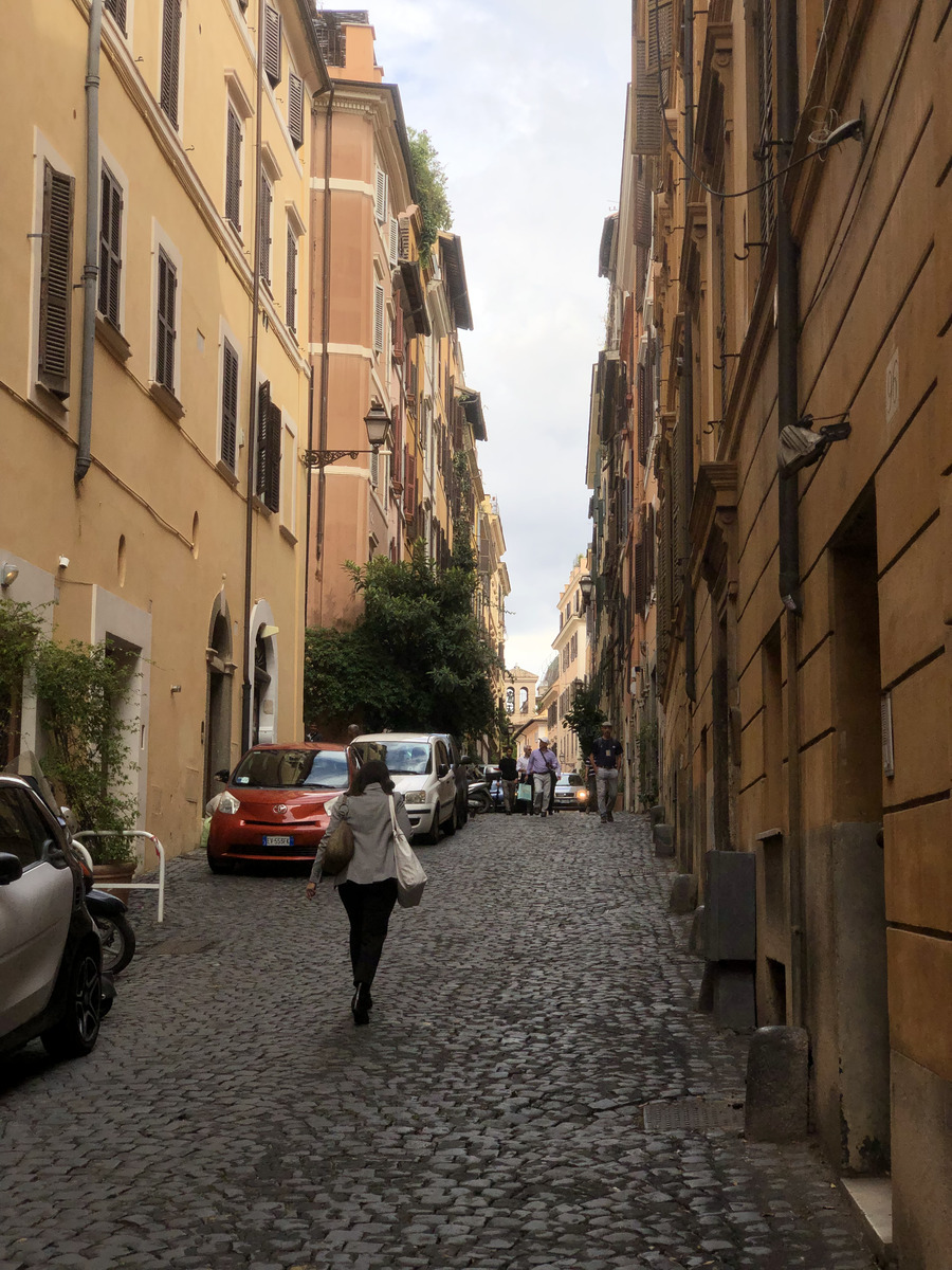 Picture Italy Rome 2024-09 28 - Rain Season Rome