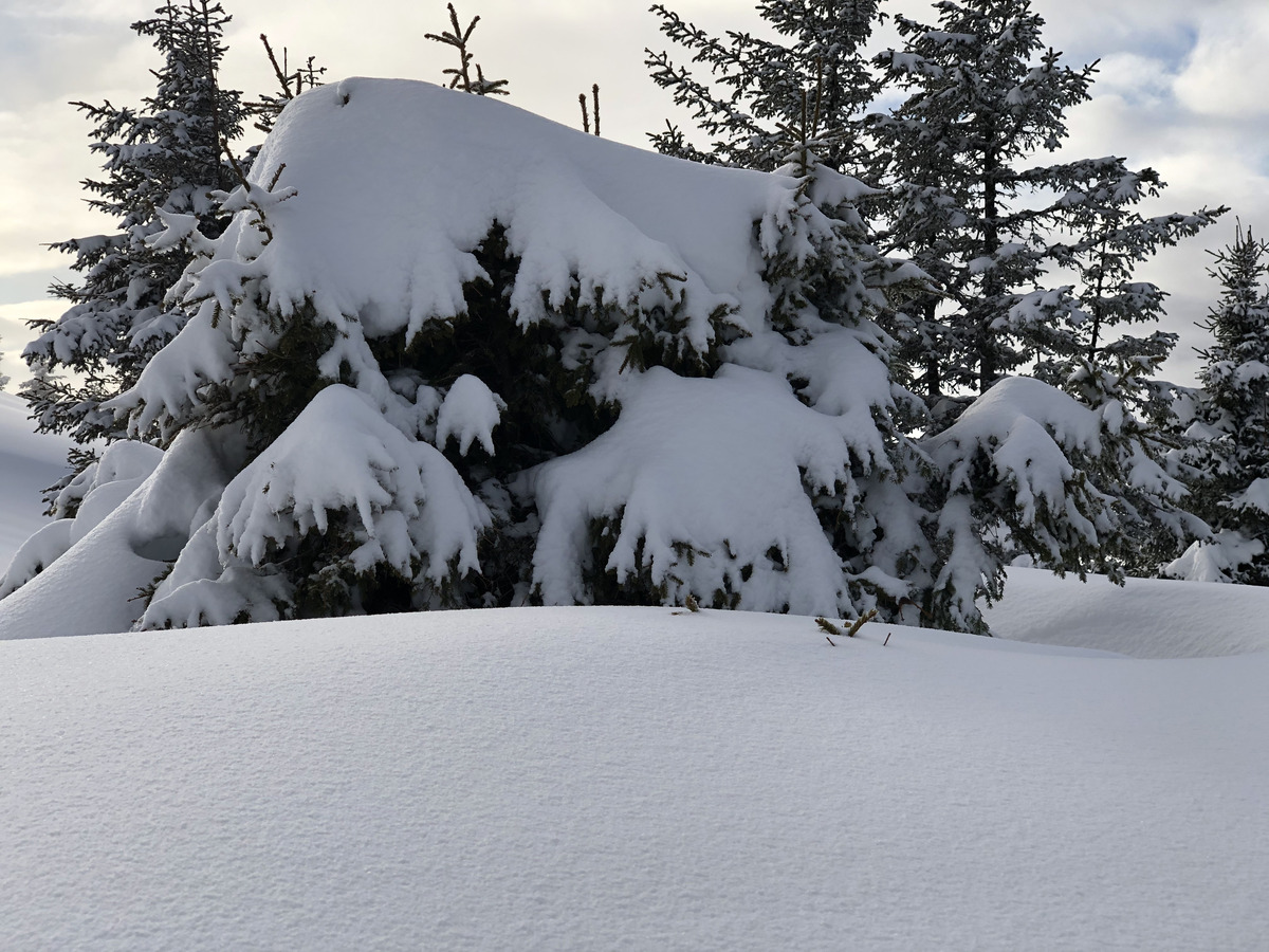 Picture France Praz sur Arly 2019-12 174 - Waterfall Praz sur Arly