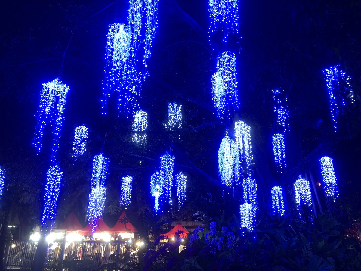 Picture Thailand Chiang Mai Nong Buak Haad Public Park 2024-01 36 - Price Nong Buak Haad Public Park