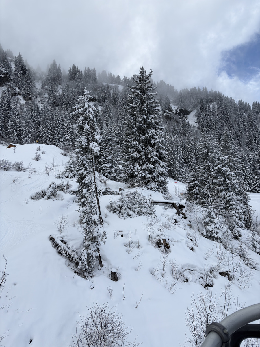 Picture France Praz sur Arly 2025-02 94 - Hot Season Praz sur Arly
