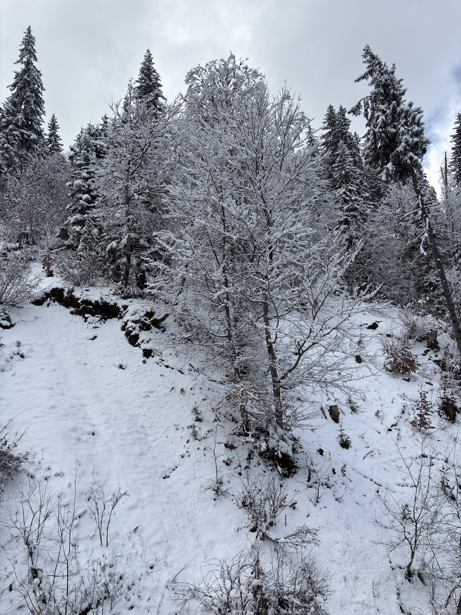 Picture France Praz sur Arly 2025-02 14 - Lakes Praz sur Arly